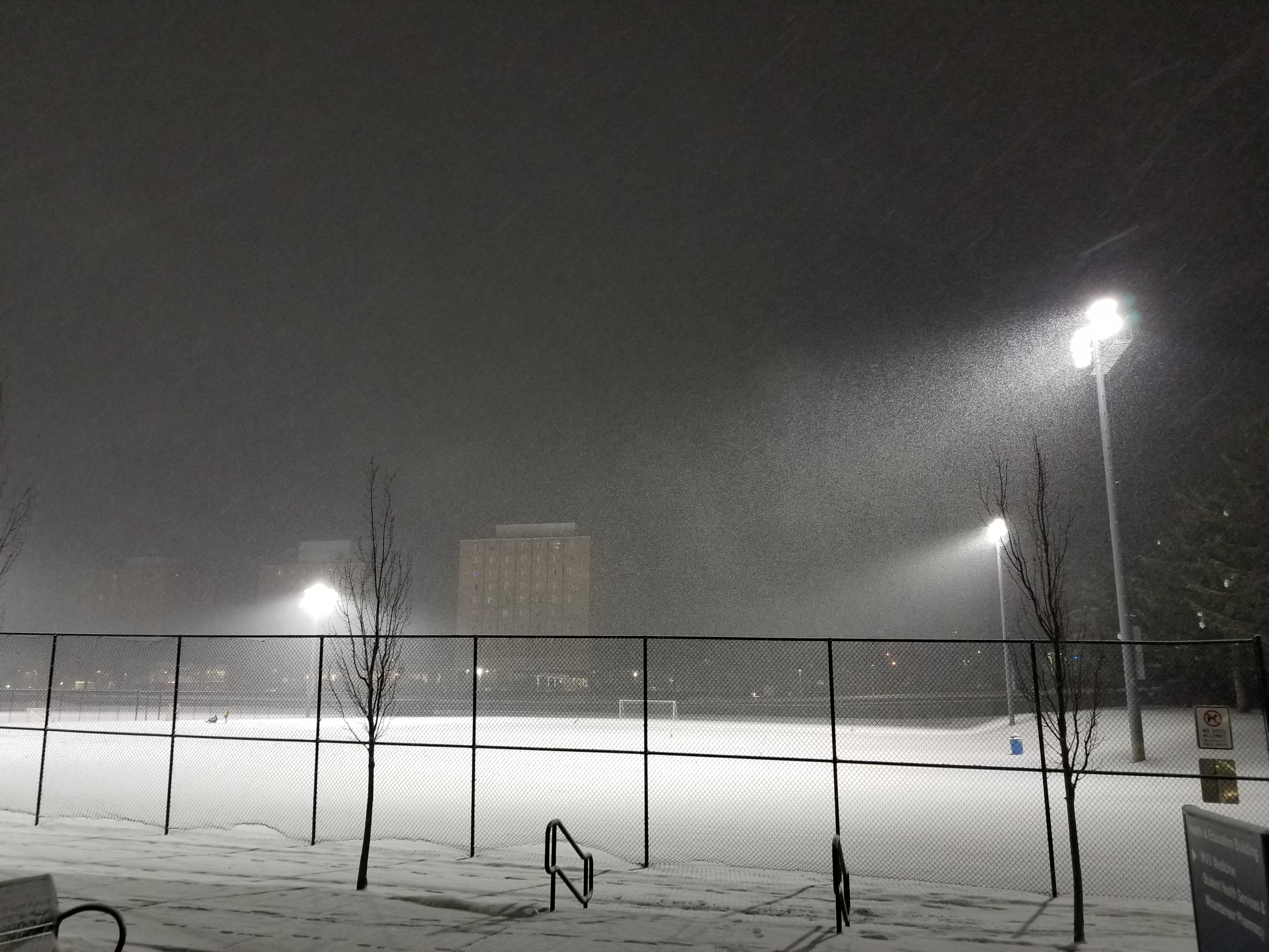 A snowy field, unburdened by future sorrows.