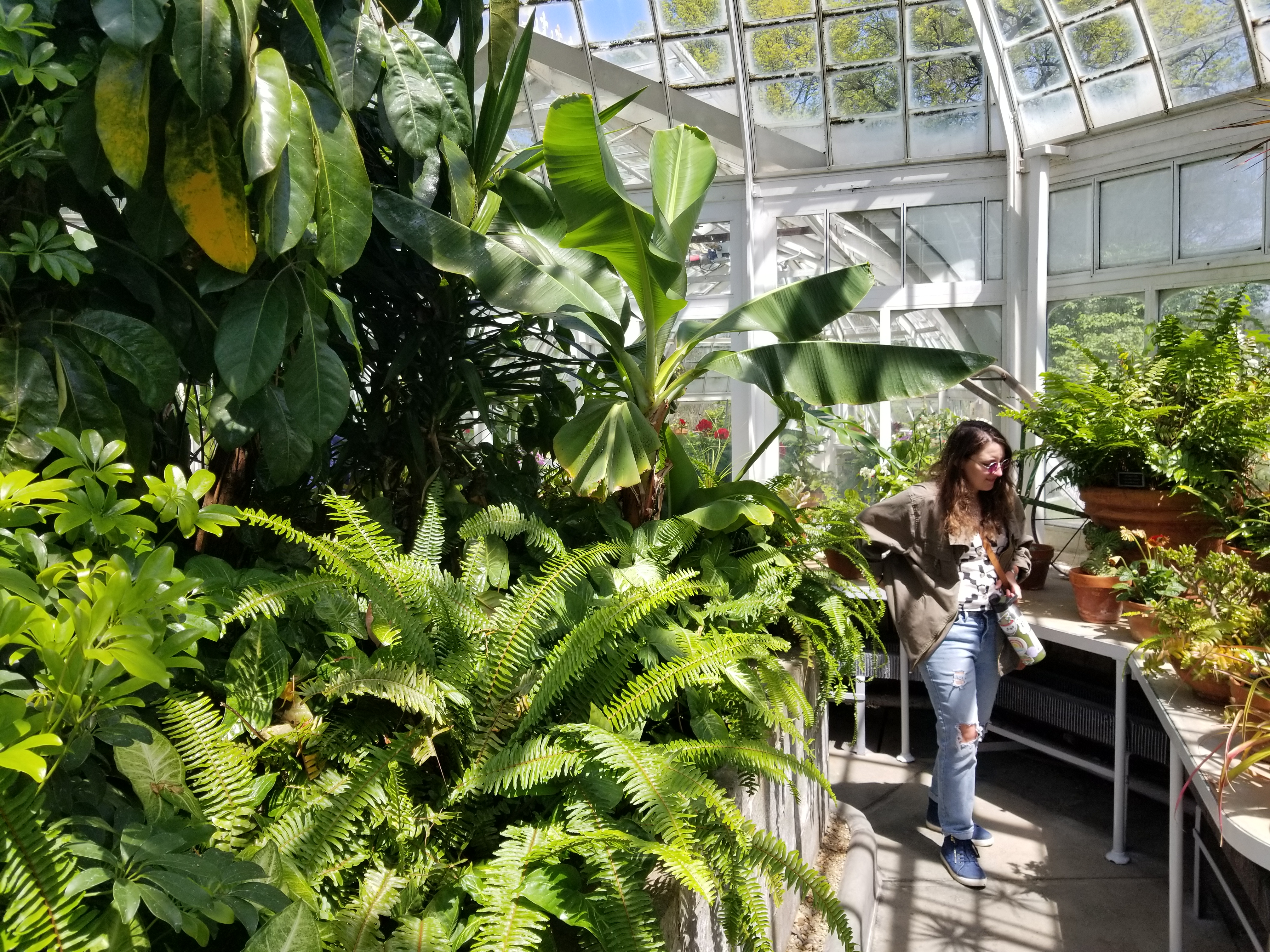 wandering in the jungle